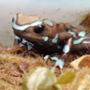 Meet your Posher, Stacy